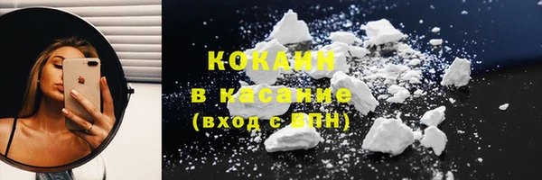гидра Козловка
