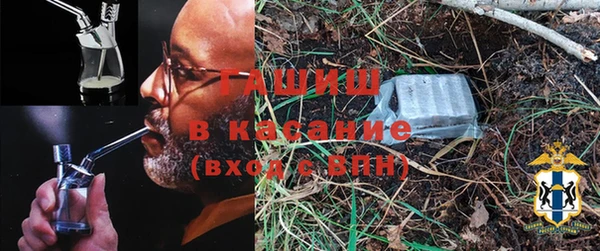 гидра Козловка