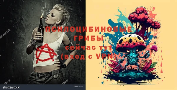 гидра Козловка