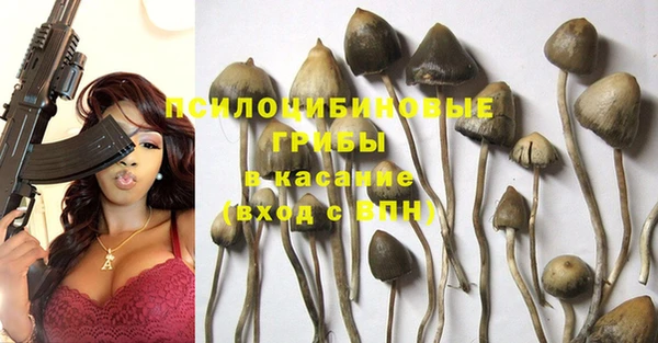 PSILOCYBIN Козельск