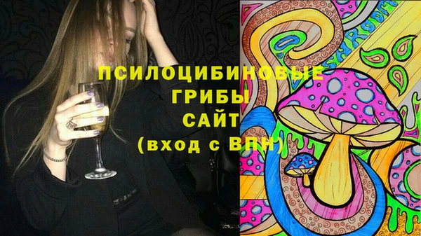 гидра Козловка
