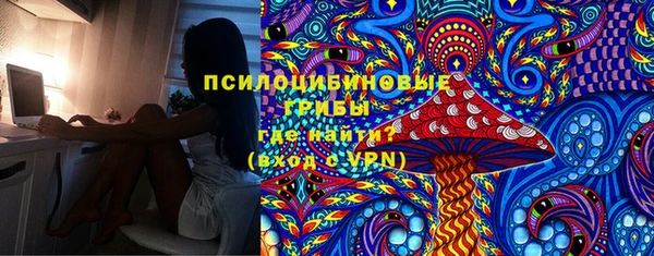 PSILOCYBIN Козельск